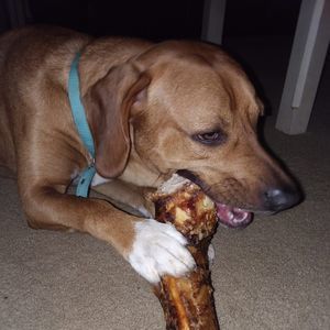 Meet your Posher, Sherrie